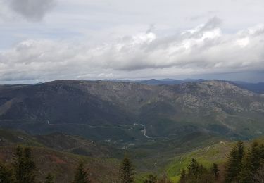 Trail Walking Astet - tour de poignet depuis col du pendu - Photo