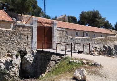 Excursión Senderismo Ollioules - tour du gros cerveau  - Photo