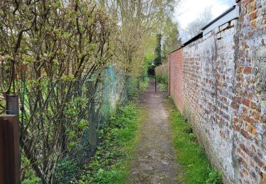 Trail Walking Court-Saint-Étienne - Sart Messire Guillaume 280324 - Photo