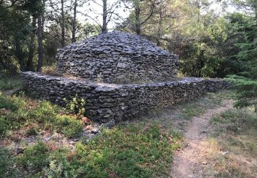 Trail Walking Conques-sur-Orbiel - Les murailles d_Aribaud capitelles V2 - Photo