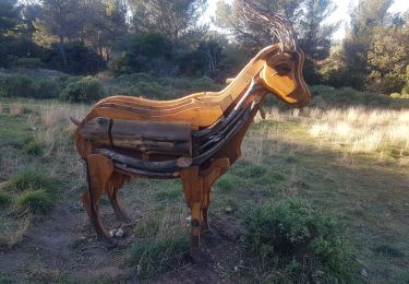 Percorso Marcia Tarascon - alpilles chapelle saint gabriel - Photo