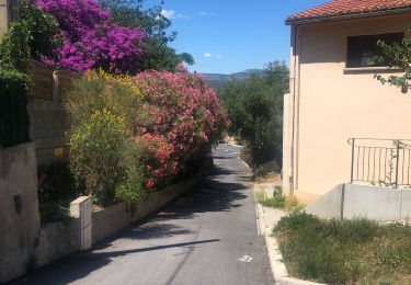 Percorso Marcia Montner - Montner Força Réal et château de Caladroy - Photo