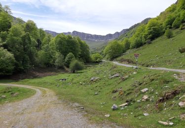 Tour Wandern Castet - Le Port de Castet en étoile - G4 - Photo