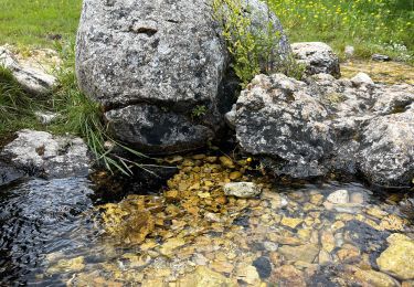 Excursión Senderismo Opi - Anello val fondillo monte nicola valle fredda - Photo