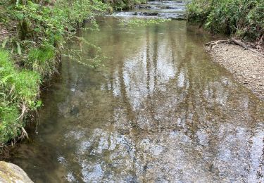 Trail Walking Saint-Pée-sur-Nivelle - Cherchebruit pinodieta ainhoa  - Photo