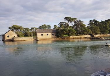 Trail Walking Larmor-Baden - LARMOR-BADEN_PEN-EN-TOUL_BERDER - Photo
