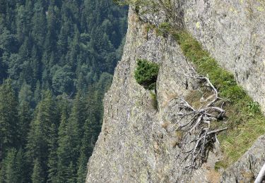 Tour Zu Fuß Unbekannt - Transfăgărășan - Șaua Netedu - L. Bâlea - Photo