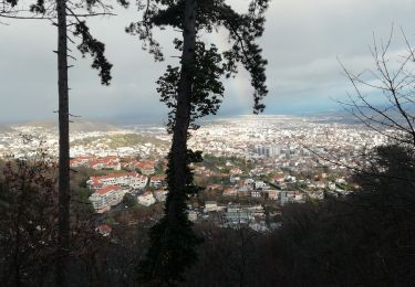 Trail Walking Orcines - Colombier Fontanas - Photo