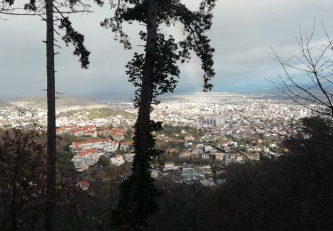 Excursión Senderismo Orcines - Colombier Fontanas - Photo