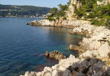 Trail Walking Saint-Jean-Cap-Ferrat - sentier littoral st jean cap ferrat - Photo