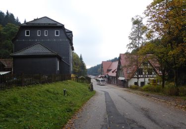 Excursión A pie Oberhof - Rennsteig-Leiter Zella-Mehlis - Photo