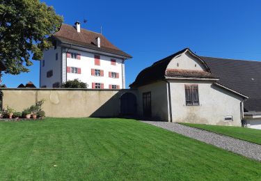 Randonnée A pied Grosswangen - Buttisholz - Grosswangen - Photo