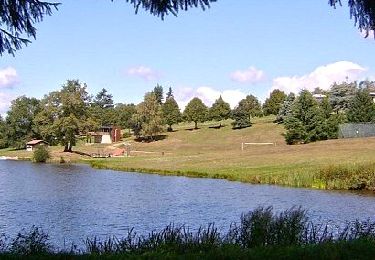 Trail Walking Le Vernet-Chaméane - Vernet_Varenne_Crepe - Photo