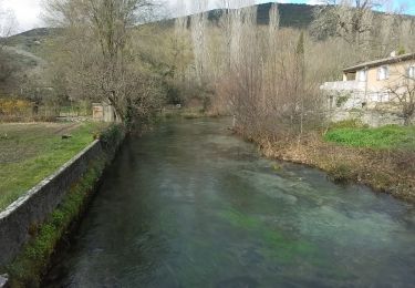 Randonnée A pied Brissac - BRISSAC- les trois termes aller retour  - Photo