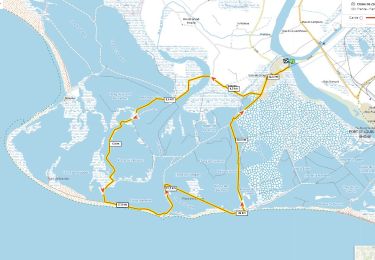 Tour Mountainbike Arles - Bac Phare de Faraman - Photo