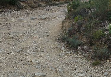 Percorso Bici da strada Camps-la-Source - Vélo Camps la source, La Celle - Photo
