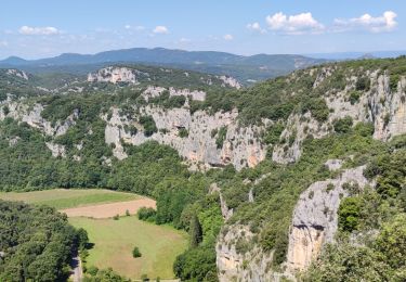 Randonnée Marche Vallon-Pont-d'Arc - Rando Châmes Ardèche - Photo