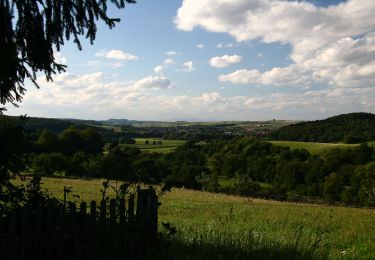 Percorso A piedi Brensbach - Rundwanderweg Brensbach B1: Rundweg nach Wallbach - Photo