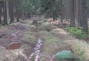 Tocht Stappen Aywaille - deigne . menobu . hautregard . hassoumont . deigne - Photo