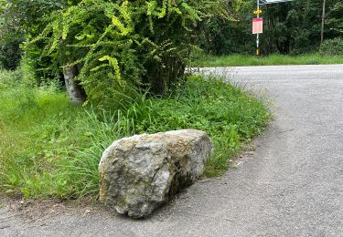 Tour Zu Fuß Neuenburg - Neuchâtel Cadolles - Ch. de la Châtelainie - Photo