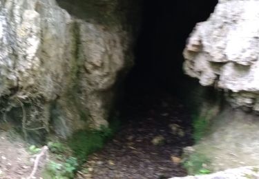 Randonnée Marche Valserhône - Confort par Le Pélan - Photo