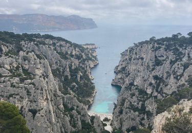 Trail Walking Cassis - Belvédère d’En Vau - Photo