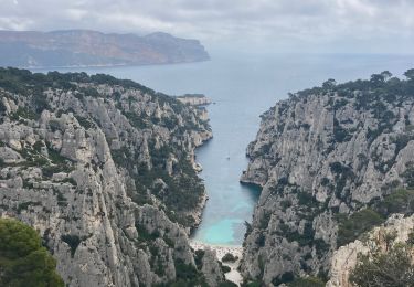 Excursión Senderismo Cassis - Belvédère d’En Vau - Photo