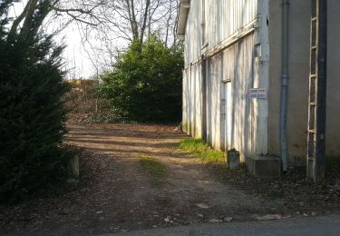 Percorso Trekking con gli asini Vouvray - ballade dans les vignes - Photo