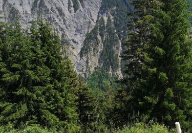 Tocht Noords wandelen Conthey - la standra - Photo