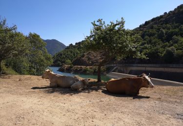 Randonnée Marche Tolla - lac de Tolla  - Photo