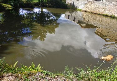 Randonnée Marche Chenereilles - Vérines alezieux le Perrier le lac - Photo