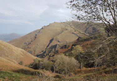 Trail Walking Saint-Jean-Pied-de-Port - GR 10 - Photo