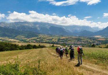 Trail Walking Mens - Esclops Trièves Tour de Mens - Photo
