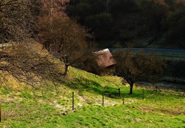 Percorso A piedi Forbach - Heimatweg - Photo