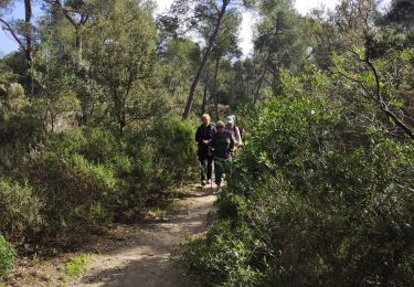 Trail Walking Six-Fours-les-Plages - Notre dame du Mai - Photo