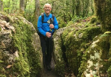 Trail Walking Nébias - Sentier nature, labyrinthique vert - Photo