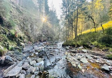 Excursión Senderismo Malmedy - Balade de rêve 4 - Le canyon des Trôs Marets - Photo