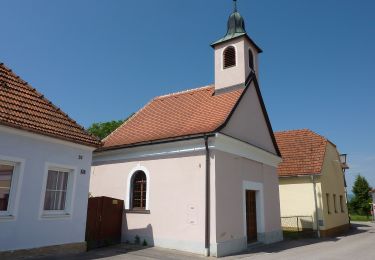 Tocht Te voet Gemeinde Paudorf - Bergwerk-Gedenkweg - Photo