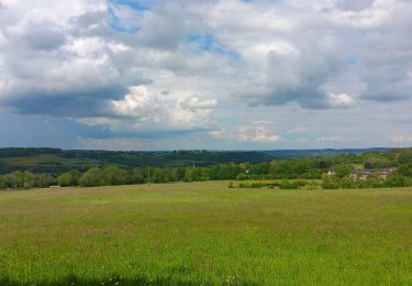 Trail Walking Theux - lareid . vertbuisson . haut marais . fraineux . la reid  - Photo