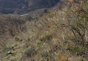 Randonnée Marche Marcoux - Marcoux crete de liman 950m 15kms  - Photo