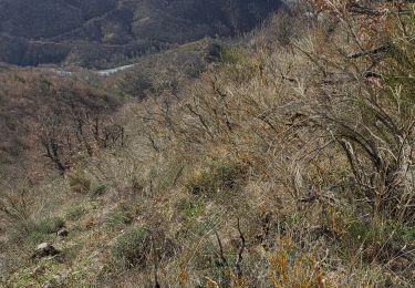 Excursión Senderismo Marcoux - Marcoux crete de liman 950m 15kms  - Photo