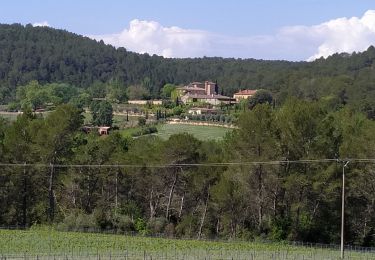 Tour Wandern Flayosc - berne - Photo