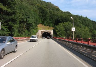 Randonnée A pied Rinnthal - Rundwanderweg Rinnthal: Römerweg - Photo