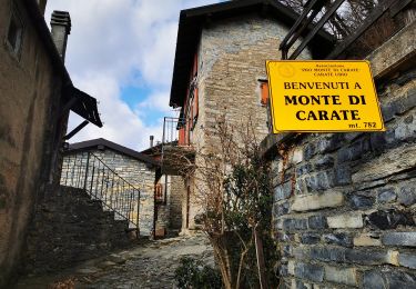 Tour Zu Fuß Moltrasio - IT-26 - Photo