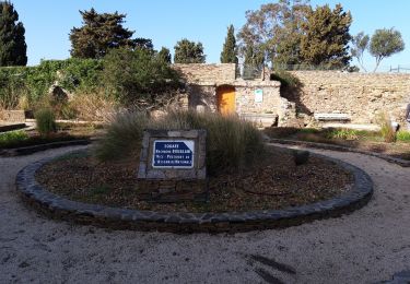 Trail Walking Hyères - Presqu'île de Giens Est-26-02-21 - Photo
