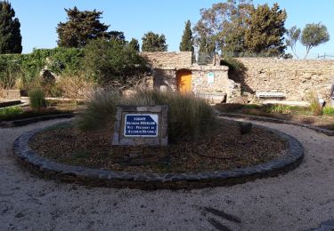 Excursión Senderismo Hyères - Presqu'île de Giens Est-26-02-21 - Photo