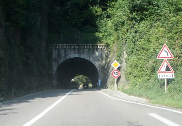 Excursión A pie Morre - Sentier des Buis - Photo