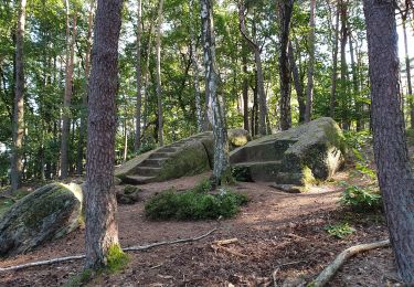 Randonnée A pied Bad Dürkheim - Historischer Rundwanderweg Leistadt - Photo