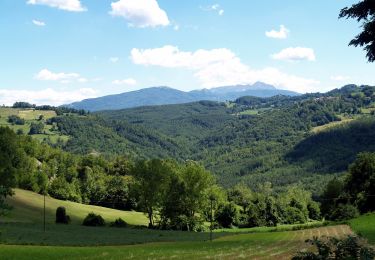 Randonnée A pied Canossa - Mulino di Chichino - Scalucchia - Spigone - Predella - Gazzolo - Cerreggio - Taviano - Photo