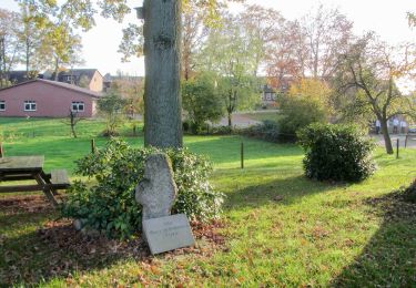 Tour Zu Fuß Obernholz - Spurensuche in der Heidmark - Pfad 4 - Photo